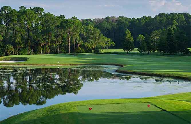 Disney Palm Course (Photo: GCSAA)