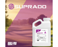 Photo: Quali-Pro