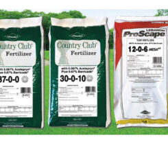 Photo: Lebanon Turf