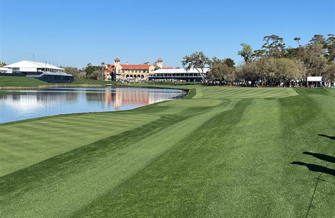 Andrews says not much is different despite the leadership change, and he wants to build on the foundation Plotts left at the club. (Photo: Golfdom staff)