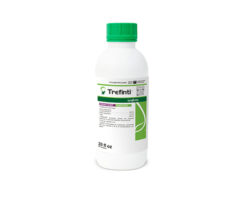 Photo: Syngenta